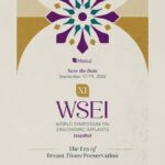 XI WSEI 2026